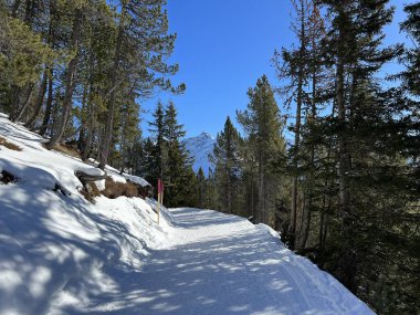 Excellently arranged and cleaned winter trails for walking, hiking, sports and recreation in the area of the Swiss tourist winter resort of Arosa - Canton of Grisons, Switzerland (Schweiz)