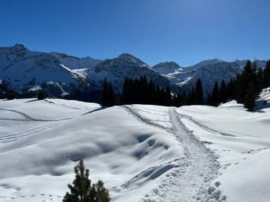 Wonderful winter hiking trails and traces in the fresh alpine snow cover of the Swiss Alps and over the tourist resort of Arosa - Canton of Grisons, Switzerland (Schweiz)