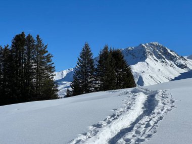 Wonderful winter hiking trails and traces in the fresh alpine snow cover of the Swiss Alps and over the tourist resort of Arosa - Canton of Grisons, Switzerland (Schweiz)