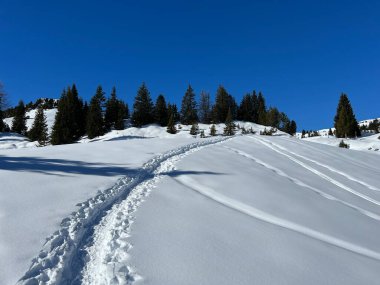 Wonderful winter hiking trails and traces in the fresh alpine snow cover of the Swiss Alps and over the tourist resort of Arosa - Canton of Grisons, Switzerland (Schweiz)