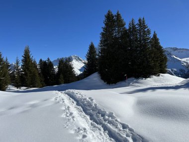 Wonderful winter hiking trails and traces in the fresh alpine snow cover of the Swiss Alps and over the tourist resort of Arosa - Canton of Grisons, Switzerland (Schweiz)