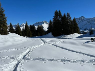Wonderful winter hiking trails and traces in the fresh alpine snow cover of the Swiss Alps and over the tourist resort of Arosa - Canton of Grisons, Switzerland (Schweiz)