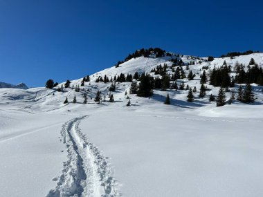 Wonderful winter hiking trails and traces in the fresh alpine snow cover of the Swiss Alps and over the tourist resort of Arosa - Canton of Grisons, Switzerland (Schweiz)