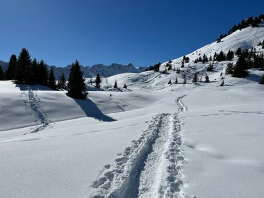 Wonderful winter hiking trails and traces in the fresh alpine snow cover of the Swiss Alps and over the tourist resort of Arosa - Canton of Grisons, Switzerland (Schweiz)
