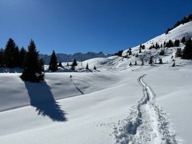 Wonderful winter hiking trails and traces in the fresh alpine snow cover of the Swiss Alps and over the tourist resort of Arosa - Canton of Grisons, Switzerland (Schweiz)