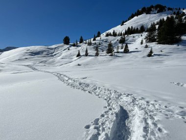 Wonderful winter hiking trails and traces in the fresh alpine snow cover of the Swiss Alps and over the tourist resort of Arosa - Canton of Grisons, Switzerland (Schweiz)