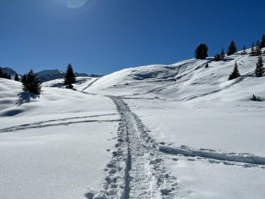 Wonderful winter hiking trails and traces in the fresh alpine snow cover of the Swiss Alps and over the tourist resort of Arosa - Canton of Grisons, Switzerland (Schweiz)