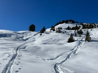 Wonderful winter hiking trails and traces in the fresh alpine snow cover of the Swiss Alps and over the tourist resort of Arosa - Canton of Grisons, Switzerland (Schweiz)
