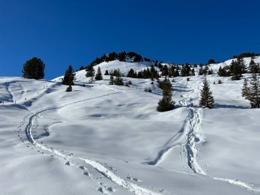 Wonderful winter hiking trails and traces in the fresh alpine snow cover of the Swiss Alps and over the tourist resort of Arosa - Canton of Grisons, Switzerland (Schweiz)