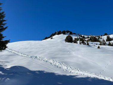 Wonderful winter hiking trails and traces in the fresh alpine snow cover of the Swiss Alps and over the tourist resort of Arosa - Canton of Grisons, Switzerland (Schweiz)