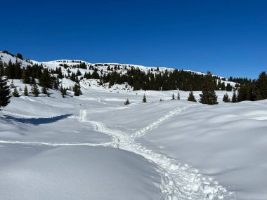 Wonderful winter hiking trails and traces in the fresh alpine snow cover of the Swiss Alps and over the tourist resort of Arosa - Canton of Grisons, Switzerland (Schweiz)