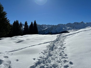 Wonderful winter hiking trails and traces in the fresh alpine snow cover of the Swiss Alps and over the tourist resort of Arosa - Canton of Grisons, Switzerland (Schweiz)