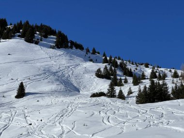 Wonderful winter hiking trails and traces in the fresh alpine snow cover of the Swiss Alps and over the tourist resort of Arosa - Canton of Grisons, Switzerland (Schweiz)