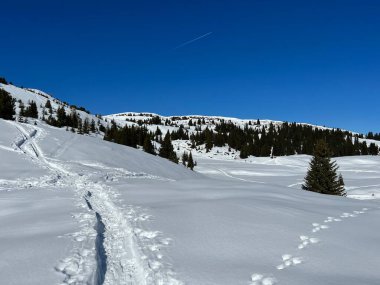 Wonderful winter hiking trails and traces in the fresh alpine snow cover of the Swiss Alps and over the tourist resort of Arosa - Canton of Grisons, Switzerland (Schweiz)