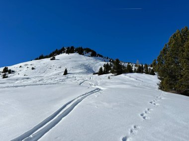 Wonderful winter hiking trails and traces in the fresh alpine snow cover of the Swiss Alps and over the tourist resort of Arosa - Canton of Grisons, Switzerland (Schweiz)