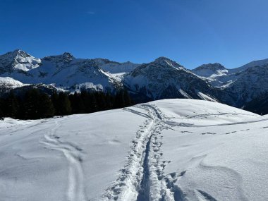 Wonderful winter hiking trails and traces in the fresh alpine snow cover of the Swiss Alps and over the tourist resort of Arosa - Canton of Grisons, Switzerland (Schweiz)