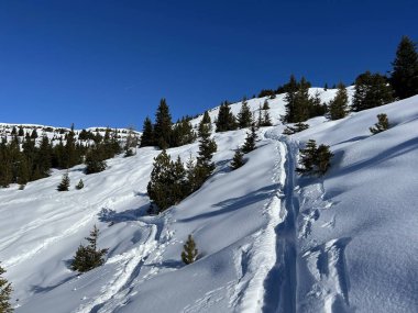 Wonderful winter hiking trails and traces in the fresh alpine snow cover of the Swiss Alps and over the tourist resort of Arosa - Canton of Grisons, Switzerland (Schweiz)
