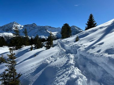 Wonderful winter hiking trails and traces in the fresh alpine snow cover of the Swiss Alps and over the tourist resort of Arosa - Canton of Grisons, Switzerland (Schweiz)