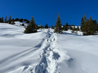 Wonderful winter hiking trails and traces in the fresh alpine snow cover of the Swiss Alps and over the tourist resort of Arosa - Canton of Grisons, Switzerland (Schweiz)