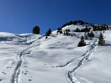 Wonderful winter hiking trails and traces in the fresh alpine snow cover of the Swiss Alps and over the tourist resort of Arosa - Canton of Grisons, Switzerland (Schweiz)