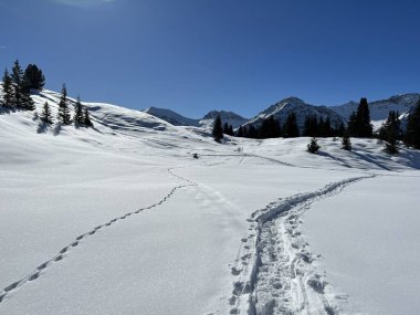 Wonderful winter hiking trails and traces in the fresh alpine snow cover of the Swiss Alps and over the tourist resort of Arosa - Canton of Grisons, Switzerland (Schweiz)