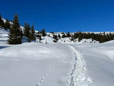 Wonderful winter hiking trails and traces in the fresh alpine snow cover of the Swiss Alps and over the tourist resort of Arosa - Canton of Grisons, Switzerland (Schweiz)