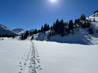 Wonderful winter hiking trails and traces in the fresh alpine snow cover of the Swiss Alps and over the tourist resort of Arosa - Canton of Grisons, Switzerland (Schweiz)