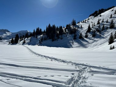 Wonderful winter hiking trails and traces in the fresh alpine snow cover of the Swiss Alps and over the tourist resort of Arosa - Canton of Grisons, Switzerland (Schweiz)