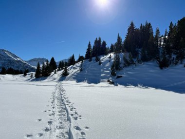 Wonderful winter hiking trails and traces in the fresh alpine snow cover of the Swiss Alps and over the tourist resort of Arosa - Canton of Grisons, Switzerland (Schweiz)