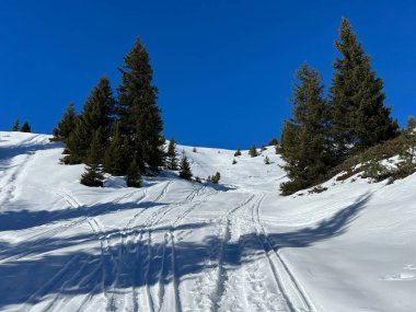 Wonderful winter hiking trails and traces in the fresh alpine snow cover of the Swiss Alps and over the tourist resort of Arosa - Canton of Grisons, Switzerland (Schweiz)
