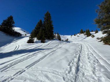 Wonderful winter hiking trails and traces in the fresh alpine snow cover of the Swiss Alps and over the tourist resort of Arosa - Canton of Grisons, Switzerland (Schweiz)