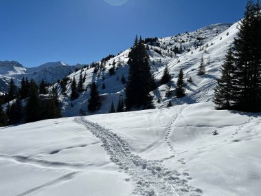 Wonderful winter hiking trails and traces in the fresh alpine snow cover of the Swiss Alps and over the tourist resort of Arosa - Canton of Grisons, Switzerland (Schweiz)