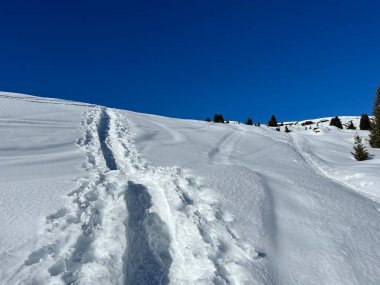 Wonderful winter hiking trails and traces in the fresh alpine snow cover of the Swiss Alps and over the tourist resort of Arosa - Canton of Grisons, Switzerland (Schweiz)