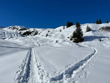Wonderful winter hiking trails and traces in the fresh alpine snow cover of the Swiss Alps and over the tourist resort of Arosa - Canton of Grisons, Switzerland (Schweiz)