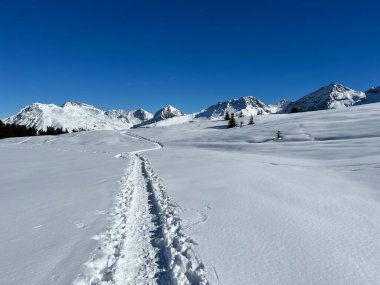 Wonderful winter hiking trails and traces in the fresh alpine snow cover of the Swiss Alps and over the tourist resort of Arosa - Canton of Grisons, Switzerland (Schweiz)