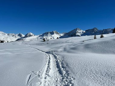 Wonderful winter hiking trails and traces in the fresh alpine snow cover of the Swiss Alps and over the tourist resort of Arosa - Canton of Grisons, Switzerland (Schweiz)