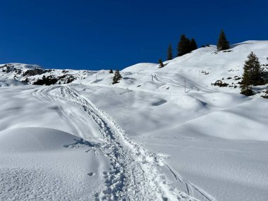 Wonderful winter hiking trails and traces in the fresh alpine snow cover of the Swiss Alps and over the tourist resort of Arosa - Canton of Grisons, Switzerland (Schweiz)