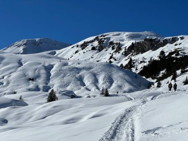 Wonderful winter hiking trails and traces in the fresh alpine snow cover of the Swiss Alps and over the tourist resort of Arosa - Canton of Grisons, Switzerland (Schweiz)