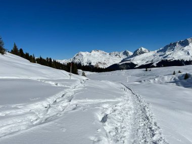 Wonderful winter hiking trails and traces in the fresh alpine snow cover of the Swiss Alps and over the tourist resort of Arosa - Canton of Grisons, Switzerland (Schweiz)