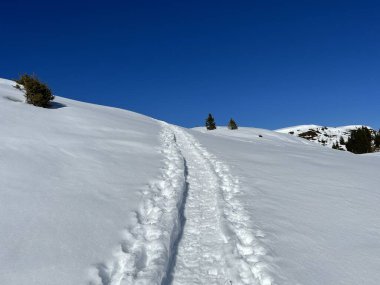 Wonderful winter hiking trails and traces in the fresh alpine snow cover of the Swiss Alps and over the tourist resort of Arosa - Canton of Grisons, Switzerland (Schweiz)