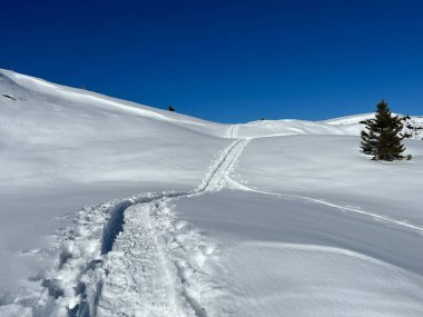 Wonderful winter hiking trails and traces in the fresh alpine snow cover of the Swiss Alps and over the tourist resort of Arosa - Canton of Grisons, Switzerland (Schweiz)