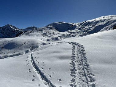 Wonderful winter hiking trails and traces in the fresh alpine snow cover of the Swiss Alps and over the tourist resort of Arosa - Canton of Grisons, Switzerland (Schweiz)