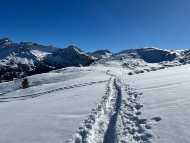 Wonderful winter hiking trails and traces in the fresh alpine snow cover of the Swiss Alps and over the tourist resort of Arosa - Canton of Grisons, Switzerland (Schweiz)