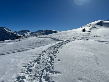 Wonderful winter hiking trails and traces in the fresh alpine snow cover of the Swiss Alps and over the tourist resort of Arosa - Canton of Grisons, Switzerland (Schweiz)