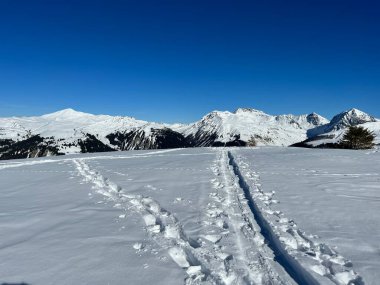 Wonderful winter hiking trails and traces in the fresh alpine snow cover of the Swiss Alps and over the tourist resort of Arosa - Canton of Grisons, Switzerland (Schweiz)