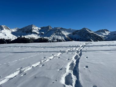 Wonderful winter hiking trails and traces in the fresh alpine snow cover of the Swiss Alps and over the tourist resort of Arosa - Canton of Grisons, Switzerland (Schweiz)
