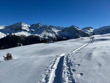 Wonderful winter hiking trails and traces in the fresh alpine snow cover of the Swiss Alps and over the tourist resort of Arosa - Canton of Grisons, Switzerland (Schweiz)