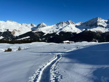 Wonderful winter hiking trails and traces in the fresh alpine snow cover of the Swiss Alps and over the tourist resort of Arosa - Canton of Grisons, Switzerland (Schweiz)