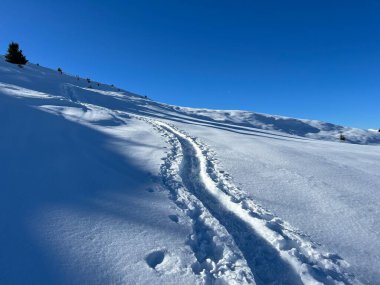 Wonderful winter hiking trails and traces in the fresh alpine snow cover of the Swiss Alps and over the tourist resort of Arosa - Canton of Grisons, Switzerland (Schweiz)