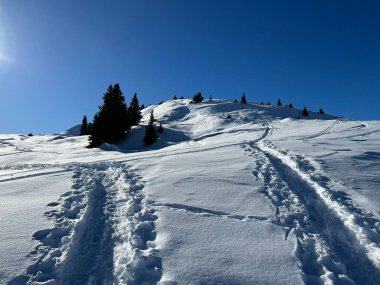 Wonderful winter hiking trails and traces in the fresh alpine snow cover of the Swiss Alps and over the tourist resort of Arosa - Canton of Grisons, Switzerland (Schweiz)